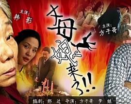 夜夜高潮夜夜爽精品视频LZDM